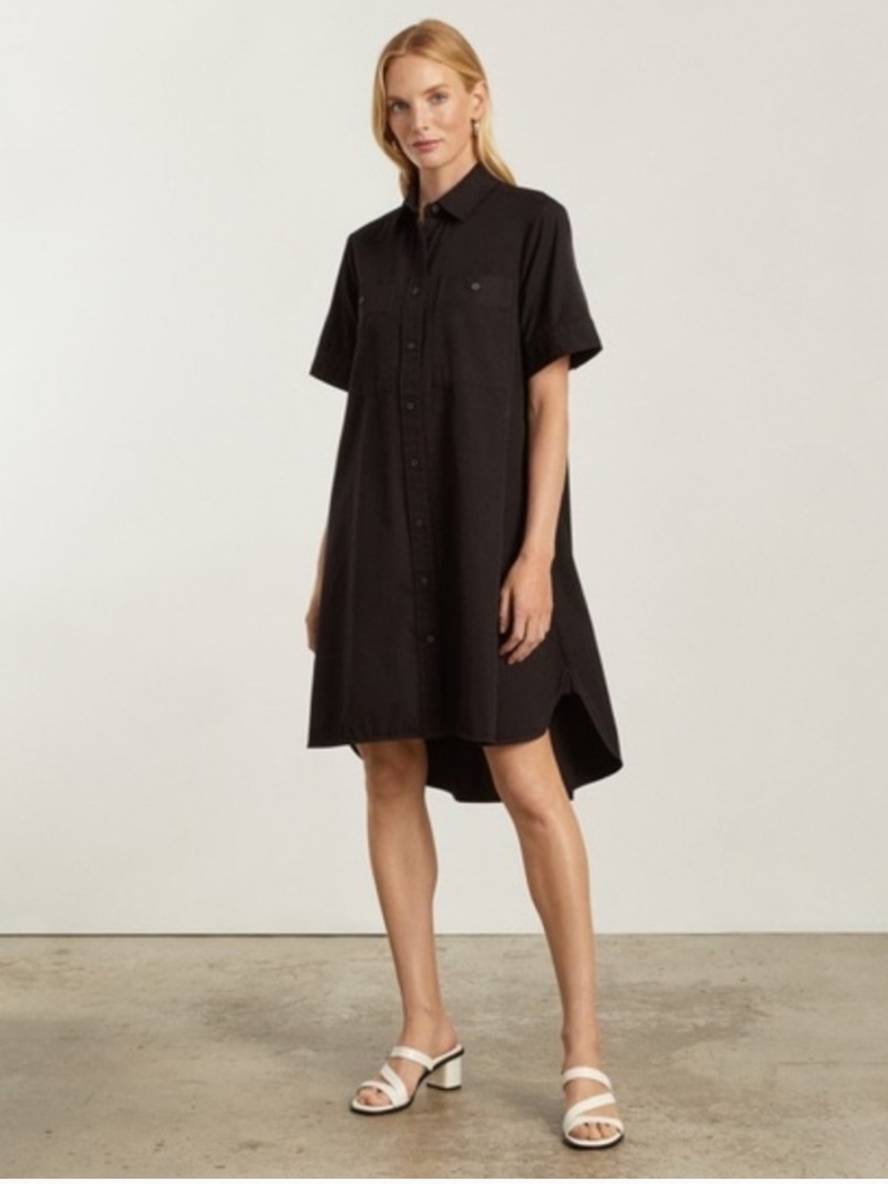 Everlane The Daytripper Dress